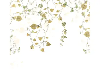 fototapet hedera komar model frunze 300 280 cm