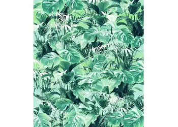 fototapet frunze evergreen