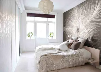 fototapet federstern