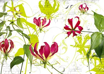 fototapet floral crini gloriosa