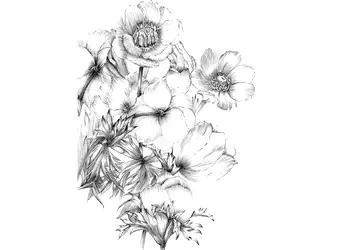 fototapet floral embroidery komar stil grafic 184 248 cm