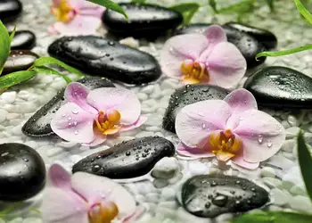 fototapet floral orhidee roz wellness