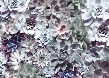 fototapet floral shades