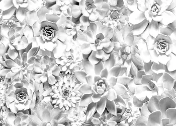 fototapet floral gri shades