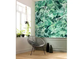 fototapet frunze evergreen