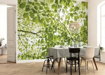 fototapet im Fruhlingswald komar frunze verzi 450 280 cm