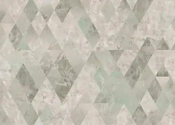 fototapet gri komar inx8089