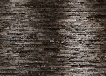 fototapet lemn birkenrinde komar