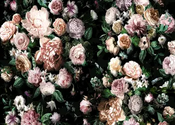 fototapet victoria black