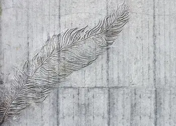 fototapet betonfeder