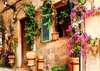 fototapet street garden