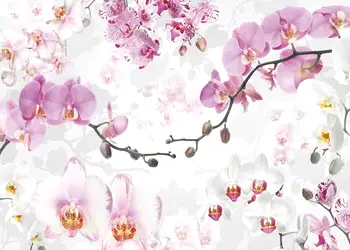 fototapet orhidee allure
