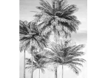 fototapet cocco komar model palmieri 200 250 cm