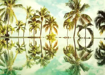 fototapet peisaj tropical key west