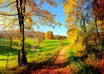 fototapet peisaj dimex meadow ms50066