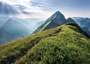 fototapet peisaj munte green vein