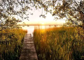 fototapet peisaj lakeside