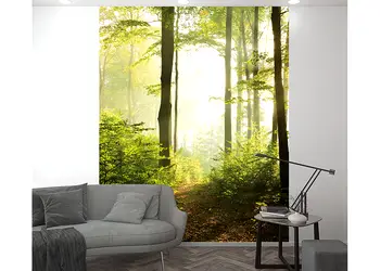 fototapet peisaj padure marburg 47221