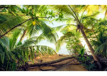 tapet peisaj plaja cu palmieri komar piratenversteck