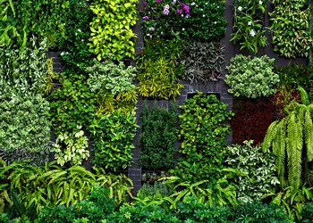 fototapet plante verzi Erismann hanging garden