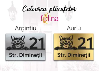 placuta adresa model pisica motan din bond argintiu sau auriu s0