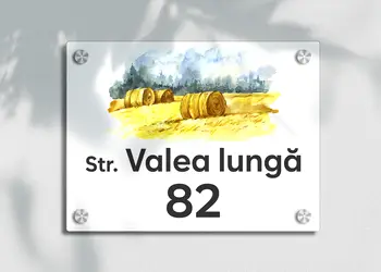 placuta cu numar si adresa model printat uv colorata model casuta acril alb s00