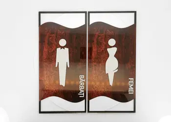 ptf01 set placute toaleta model print uv lemn transparent 1