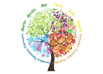 sticker copacul anotimpurilor si lunile anului