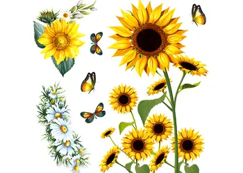 sticker floarea soarelui folina ksy107