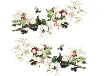 stickere geam flori de mar