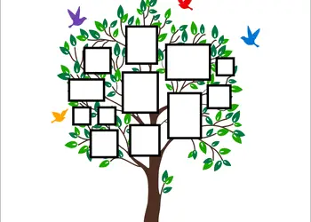 sticker copac cu rame foto