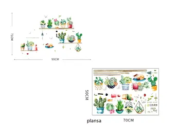 stickere plante suculente in ghivece