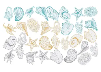 stickere baie folina model corali si scoici