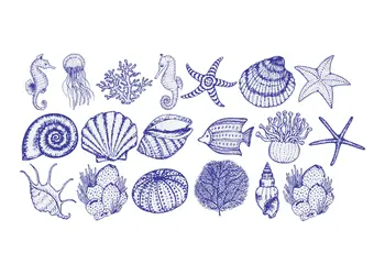 stickere baie folina model scoici albastre