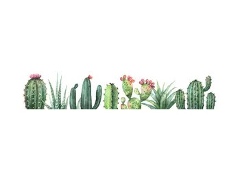 stickere cactusi folina ksy11 bordura decorativa verde