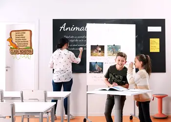 autocolant tabla de scris si sticker clasa noastra folina decor gradinita si scoala