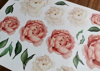 stickere flori bujori crem