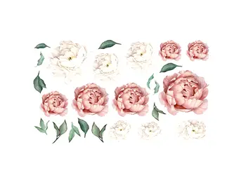 stickere flori bujori crem