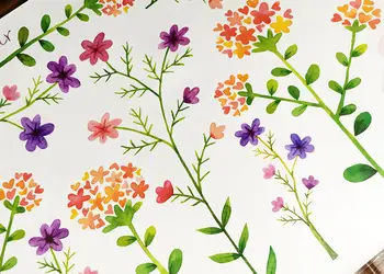 stickere flori de camp watercolor