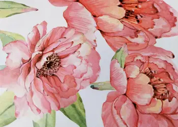 stickere perete flori watercolor folina model bujori roz 40 60 cm