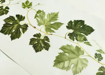 set 2 stickere crengute cu frunze verzi