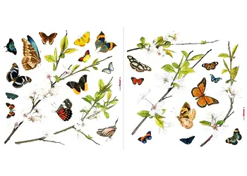 stickere geam cheerful komar flori si fluturi multicolor