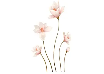 stickere perete folina magnolii crem 130 cm