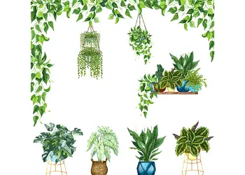 stickere plante verzi suspendate