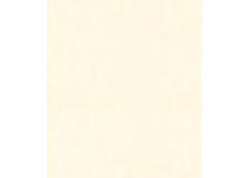 tapet modern alb unt 1026001