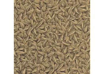 tapet auriu marburg gloockler 52504