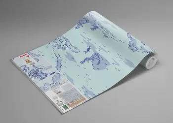 fototapet winnie the pooh pat