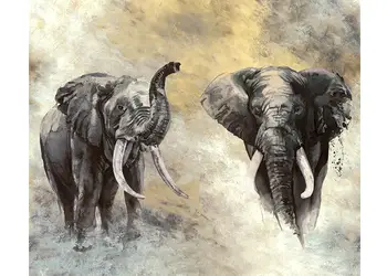 fototapet dormitor elefanti