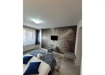 fototapet federstern