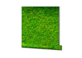 tapet imitatie muschi verde deschis